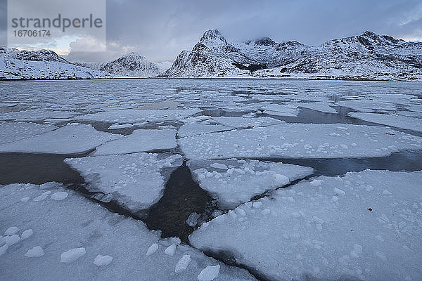 Teilweise zugefrorene Bucht am Flakstadpollen  Flakstadøy  Lofoten-Inseln  Norwegen