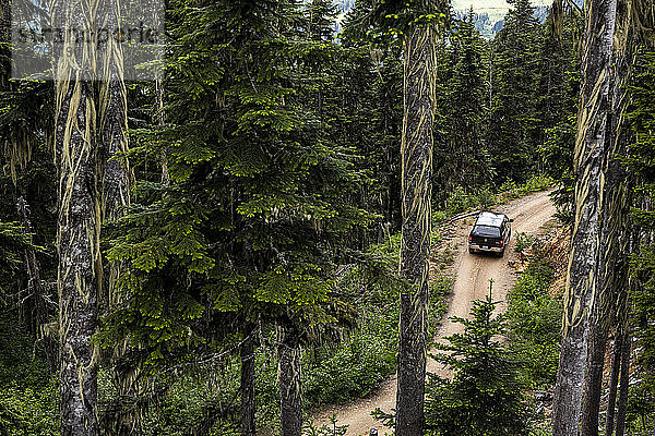 Drohnenansicht eines modernen Fahrzeugs  das auf einer Holzfällerstraße in der Nähe von Nadelbäumen fährt  während einer Fahrt durch einen grünen Wald in British Columbia  Kanada