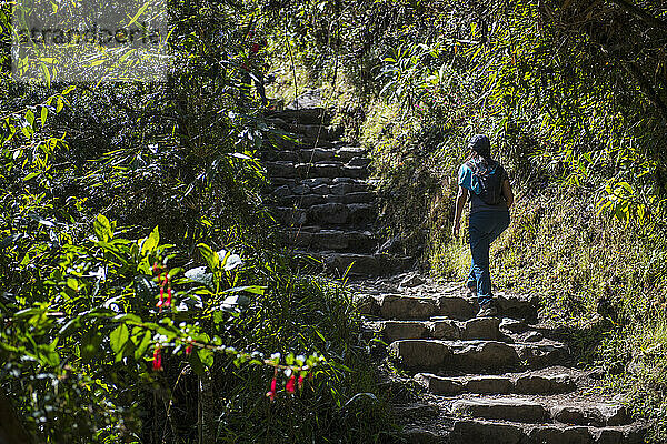 Frau  die eine Treppe auf dem Inkapfad in der Nähe von Machu Picchu hinaufgeht