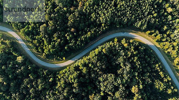 Luftaufnahme einer leeren  gewundenen Straße inmitten eines Waldes.