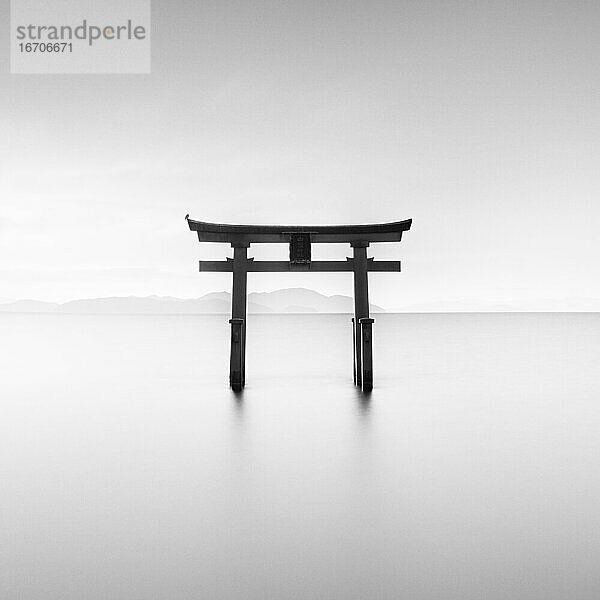 Langzeitbelichtung des Shirahige-Schreins Torii-Tor bei Sonnenaufgang  Biwa-See  Präfektur Shiga  Japan