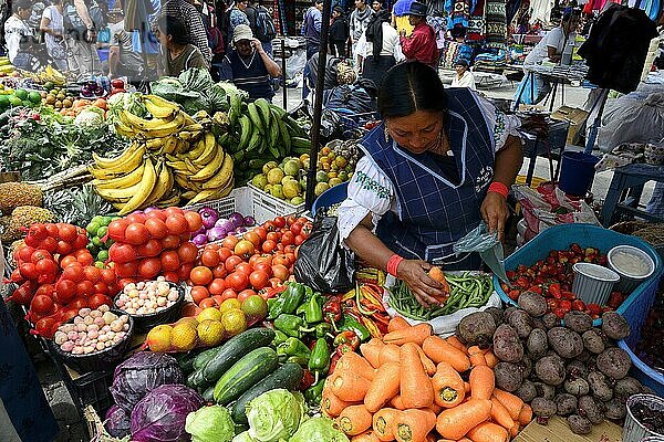 Bunte Gemüse und Früchte am Markt  Otavalo  Provinz Imbabura  Ecuador  Südamerika