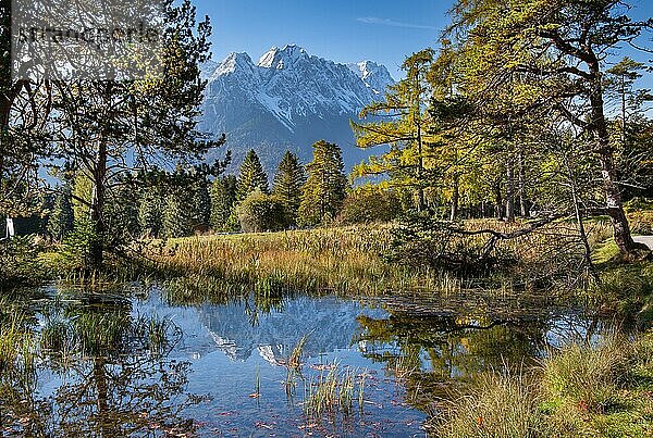 Teich am Kramerplateauweg mit Zugspitzgruppe  Garmisch-Partenkirchen  Wettersteingebirge  Loisachtal  Werdenfelser Land  Oberbayern  Bayern  Deutschland  Europa