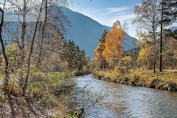 Herbstlandschaft an der Ammer  Oberammergau  Ammertal  Ammergauer Alpen  Oberbayern  Bayern  Deutschland  Europa