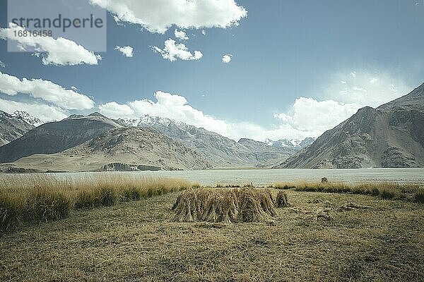 Zusammengebundene und aufgestellte Getreidegarben auf einem Feld  dahinter die Berge des Hindukusch  Wakhan-Korridor  Saradh-e-Broghil  Afghanistan  Asien