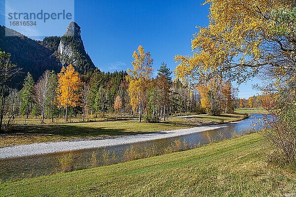 Herbstlandschaft an der Ammer mit Kofel  Oberammergau  Ammertal  Ammergauer Alpen  Oberbayern  Bayern  Deutschland  Europa