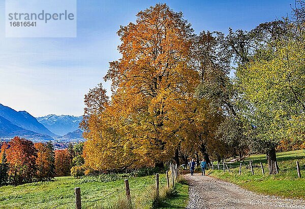 Wanderweg bei Guglhör über dem Murnauer Moos  Murnau  Das Blaue Land  Oberbayern  Bayern  Deutschland  Europa