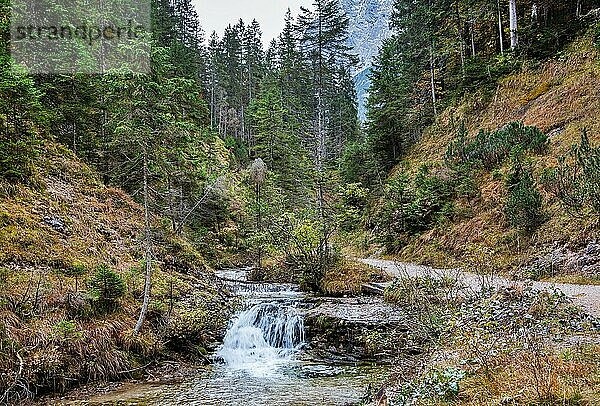 Ferchenbach am Wanderweg zum Ferchensee  Mittenwald  Isartal  Werdenfelser Land  Oberbayern  Bayern  Deutschland  Europa