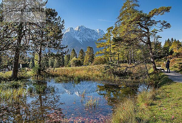 Teich am Kramerplateauweg mit Zugspitzgruppe  Garmisch-Partenkirchen  Wettersteingebirge  Loisachtal  Werdenfelser Land  Oberbayern  Bayern  Deutschland  Europa