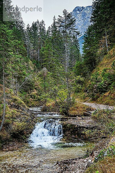 Ferchenbach am Wanderweg zum Ferchensee  Mittenwald  Isartal  Werdenfelser Land  Oberbayern  Bayern  Deutschland  Europa