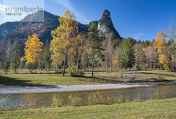 Herbstlandschaft an der Ammer mit Kofel  Oberammergau  Ammertal  Ammergauer Alpen  Oberbayern  Bayern  Deutschland  Europa