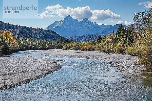 Herbstlandschaft im Isartal mit Arnspitzgruppe im Wettersteingebirge  Wallgau  Isar  Werdenfelser Land  Alpenwelt Karwendel  Oberbayern  Bayern  Deutschland  Europa