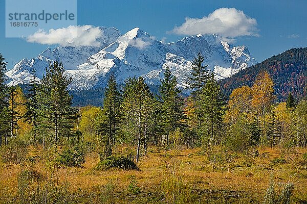 Herbstlandschaft im Isartal mit Alpspitze und Zugspitze im Wettersteingebirge  Wallgau  Isar  Werdenfelser Land  Alpenwelt Karwendel  Oberbayern  Bayern  Deutschland  Europa