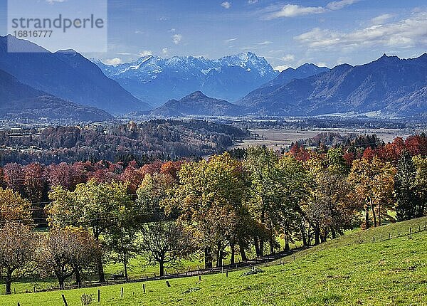 Herbstlandschaft über dem Murnauer Moos mit Zugspitzgruppe bei Hagen  Ortsteil von Murnau  Das Blaue Land  Oberbayern  Bayern  Deutschland  Europa