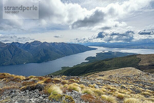 Blick auf den South Fiord des Lake Te Anau  Murchison Mountains  Kepler Track  Great Walk  Fiordland National Park  Southland  Neuseeland  Ozeanien