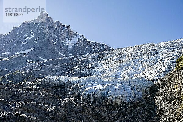 Gletscherzunge  Glacier des Bossons  links Gipfel des Aiguille du Midi  Chamonix  Haute-Savoie  Frankreich  Europa