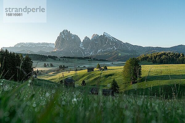 Heustadel und Hütten auf nebligen Wiesen  hinten Langkofel und dem Plattkofel  Seiser Alm  Südtirol  Italien  Europa