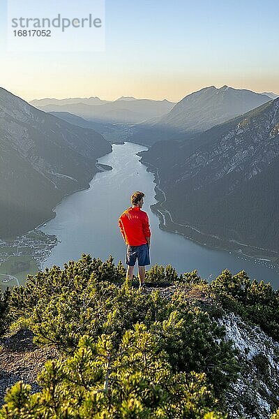 Bergsteiger  junger Mann blickt über Berglandschaft  Latschenkiefern am Gipfel des Bärenkopf  Ausblick auf den Achensee bei Sonnenuntergang  links Seekarspitze und Seebergspitze  Karwendel  Tirol  Österreich  Europa