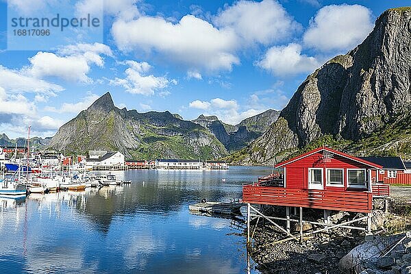 Rorbuer Hütten und Fischerboote in Hamnøy  Reine  Reinefjord  Lofoten  Norwegen  Europa