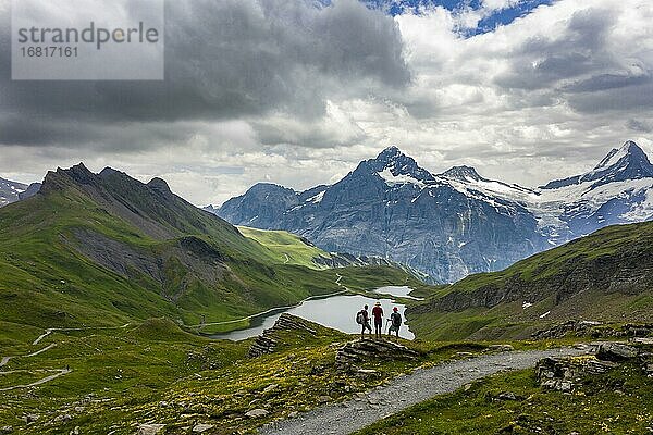 Wanderer stehen vor Bachalpsee  Gipfel Schreckhorn und Finsteraarhorn  Grindelwald  Berner Oberland  Schweiz  Europa