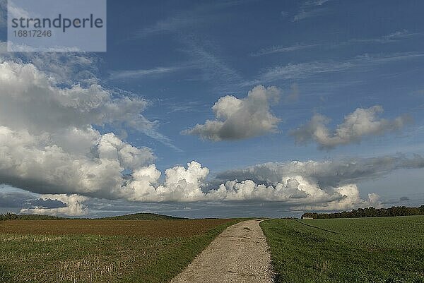 Haufenwolken (Cumulus) über einem Feldweg  Franken  Bayern  Deutschland  Europa