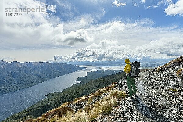 Wanderer blickt auf South Fiord des Lake Te Anau  Murchison Mountains  Kepler Track  Great Walk  Fiordland National Park  Southland  Neuseeland  Ozeanien