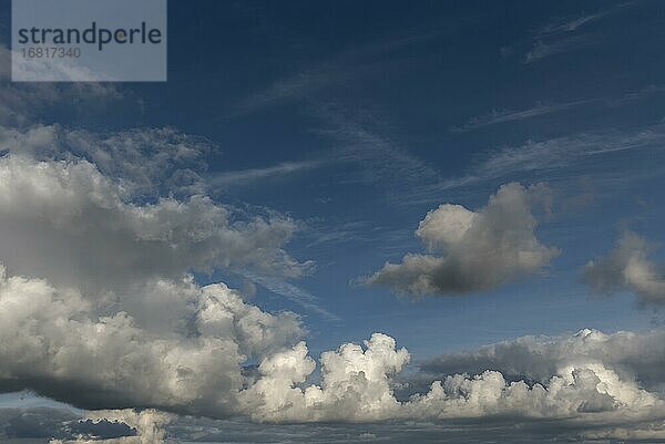 Haufenwolken (Cumulus)  Bayern  Deutschland  Europa