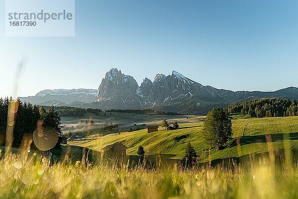 Heustadel und Hütten auf nebligen Wiesen  hinten Langkofel und Plattkofel  Seiser Alm  Südtirol  Italien  Europa