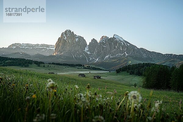 Heustadel und Hütten auf nebliger Wiesen  hinten Langkofel und dem Plattkofel  Seiser Alm  Südtirol  Italien  Europa