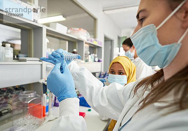 Wissenschaftlerinnen mit Gesichtsmasken und Gummihandschuhen bei der Untersuchung von Präparaten