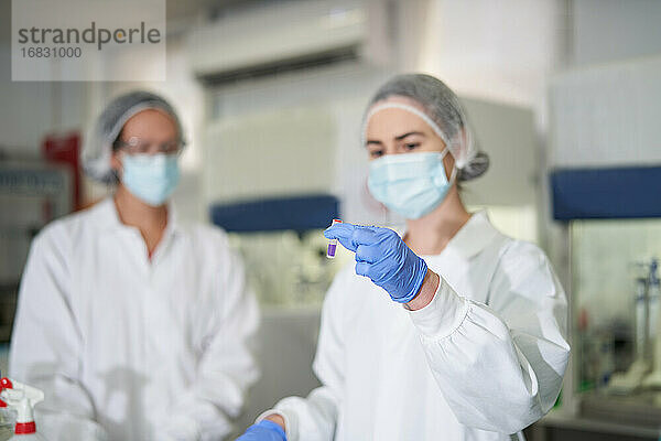Wissenschaftlerinnen in Arbeitsschutzkleidung bei der Untersuchung eines Präparats