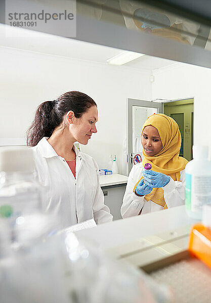 Wissenschaftlerinnen im Gespräch im Labor