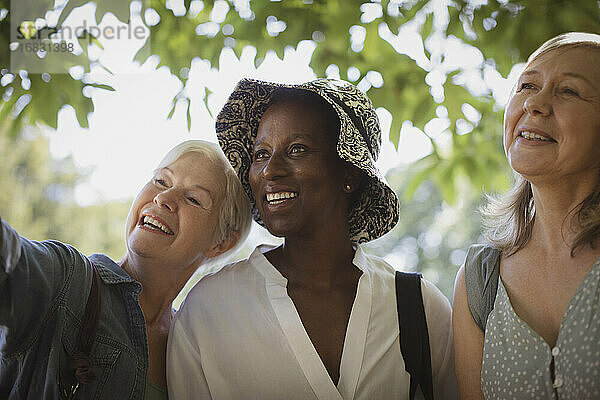 Glückliche ältere Frauen Freunde im Park