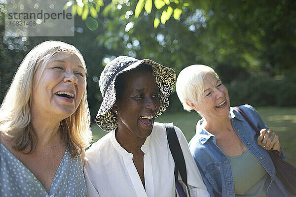 Glückliche ältere Frauen Freunde lachen in sonnigen Sommergarten