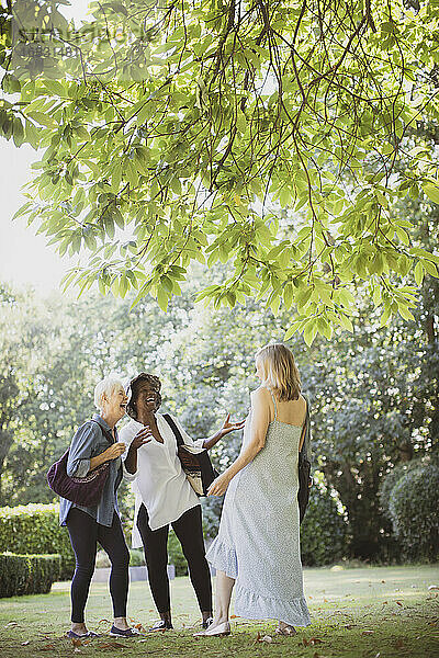 Glückliche ältere Frauen Freunde lachen im Sommer Garten