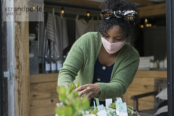 Weibliche Ladenbesitzerin mit Gesichtsmaske  die sich um sukkulente Pflanzen kümmert