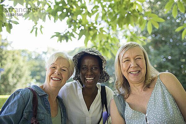 Porträt glücklich schöne ältere Frauen Freunde im Sommer Park