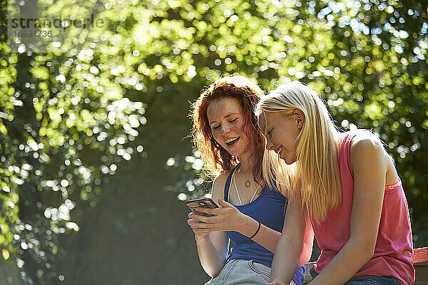 Glückliche preteen Mädchen Freunde mit Smartphone unter sonnigen Bäumen
