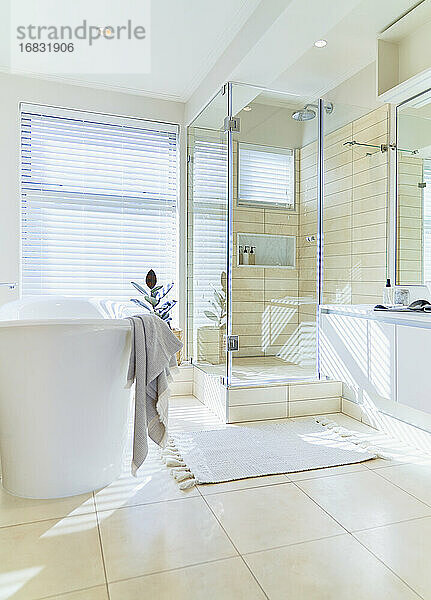 Modernes sonniges Haus Vitrine innen Badezimmer mit Badewanne einweichen