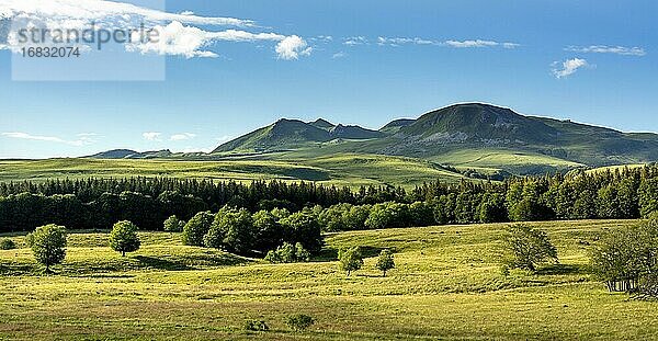 Massif de Sancy  Naturpark der Vulkane der Auvergne  Departement Puy de Dome  Auvergne-Rhône-Alpes  Frankreich  Europa