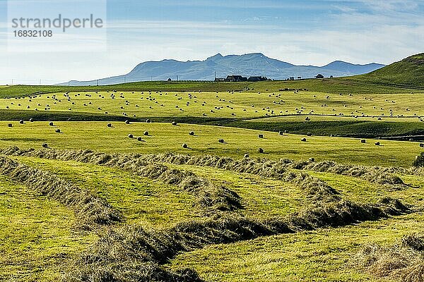 Geerntete Wiesen mit Heuballen  Hochebene von Cezallier  Regionaler Naturpark der Vulkane der Auvergne  Departement Puy de Dome  Auvergne-Rhone-Alpes  Frankreich  Europa