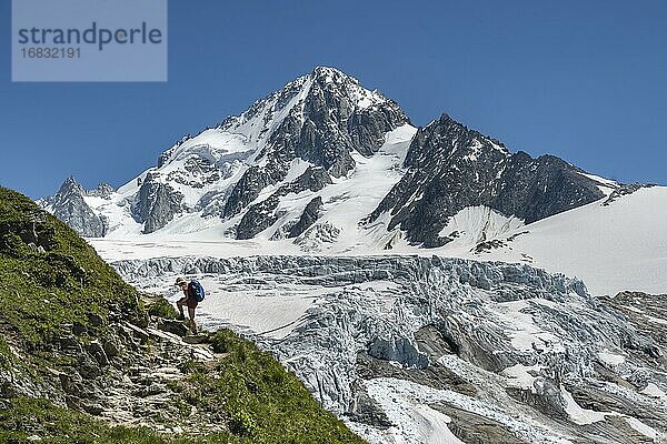 Bergsteigerin  Wanderin auf dem Weg zum Refuge Albert 1er  Glacier du Tour  Gletscher und Berggipfel  Hochalpine Landschaft  Gipfel des Aiguille de Chardonnet  Chamonix  Haute-Savoie  Frankreich  Europa