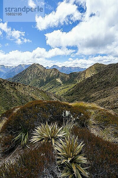 Ausblick auf Berge Murchison Mountains und Kepler Mountains  vom Wanderweg Kepler Track  Great Walk  Fiordland National Park  Southland  Neuseeland  Ozeanien