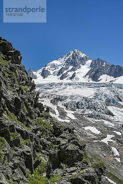 Gletscherzunge des Glacier du Tour  Gletscher und Berggipfel  Hochalpine Landschaft  Gipfel des Aiguille de Chardonnet  Chamonix  Haute-Savoie  Frankreich  Europa