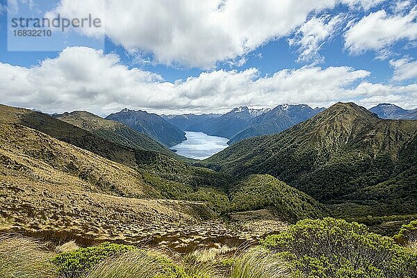 South Fiord des Lake Te Anau  Murchison Mountains  dahinter Südalpen  Kepler Track  Fiordland National Park  Southland  Neuseeland  Ozeanien