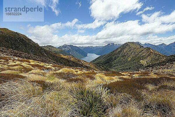 South Fiord des Lake Te Anau  Murchison Mountains  dahinter Südalpen  Kepler Track  Fiordland National Park  Southland  Neuseeland  Ozeanien