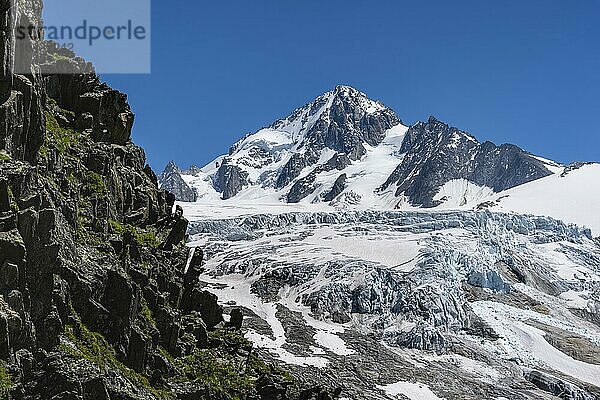 Gletscherzunge des Glacier du Tour  Gletscher und Berggipfel  Hochalpine Landschaft  Gipfel des Aiguille de Chardonnet  Chamonix  Haute-Savoie  Frankreich  Europa