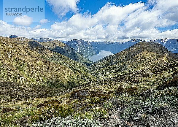 South Fiord des Lake Te Anau  Murchison Mountains  dahinter Südalpen  Kepler Track  Fiordland National Park  Southland  Neuseeland  Ozeanien