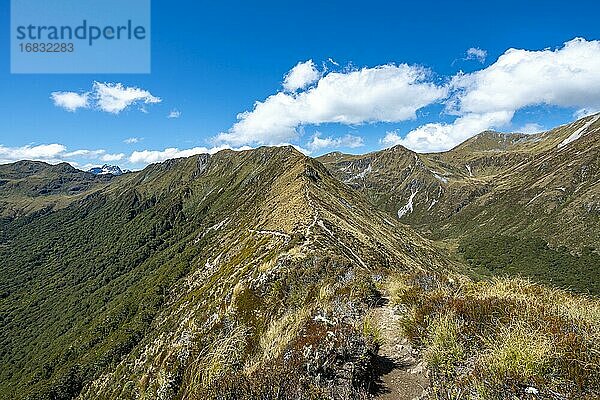 Wanderweg Kepler Track  Great Walk  Ausblick auf Berge Kepler Mountains und Südalpen  Fiordland National Park  Southland  Neuseeland  Ozeanien