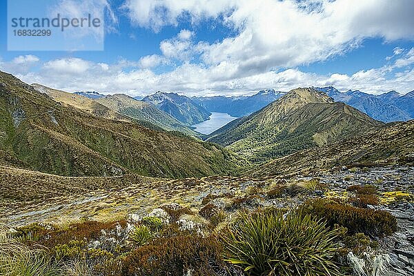 South Fiord des Lake Te Anau  Murchison Mountains  dahinter Südalpen  Kepler Track  Fiordland National Park  Southland  Neuseeland  Ozeanien